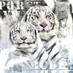Tigers_54086961522c2.png