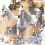 White_Horse_II_540868dc07af7.png